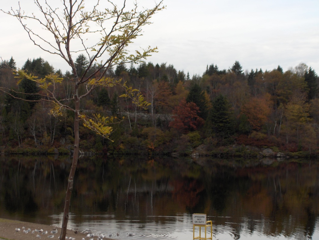 Fall Colors At St. John's Rockwood Park