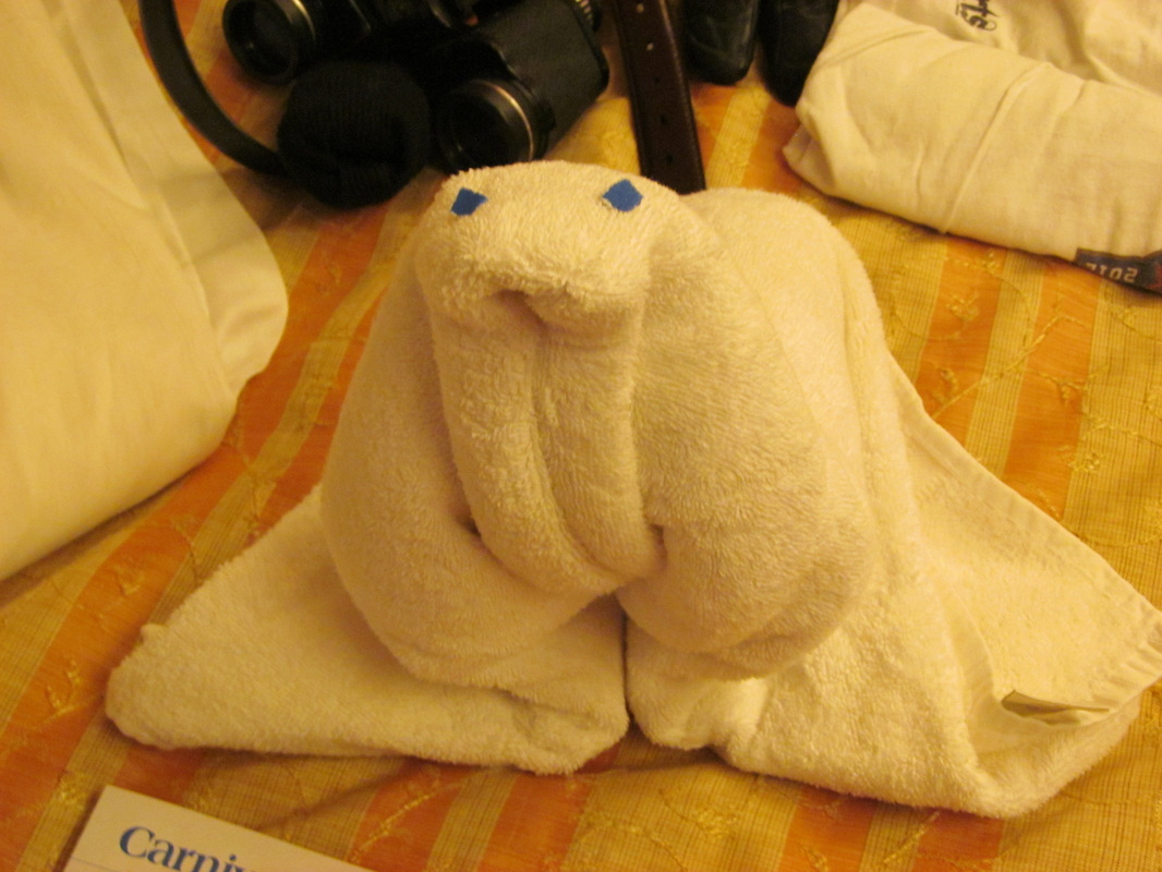 Towel Animal - Walrus