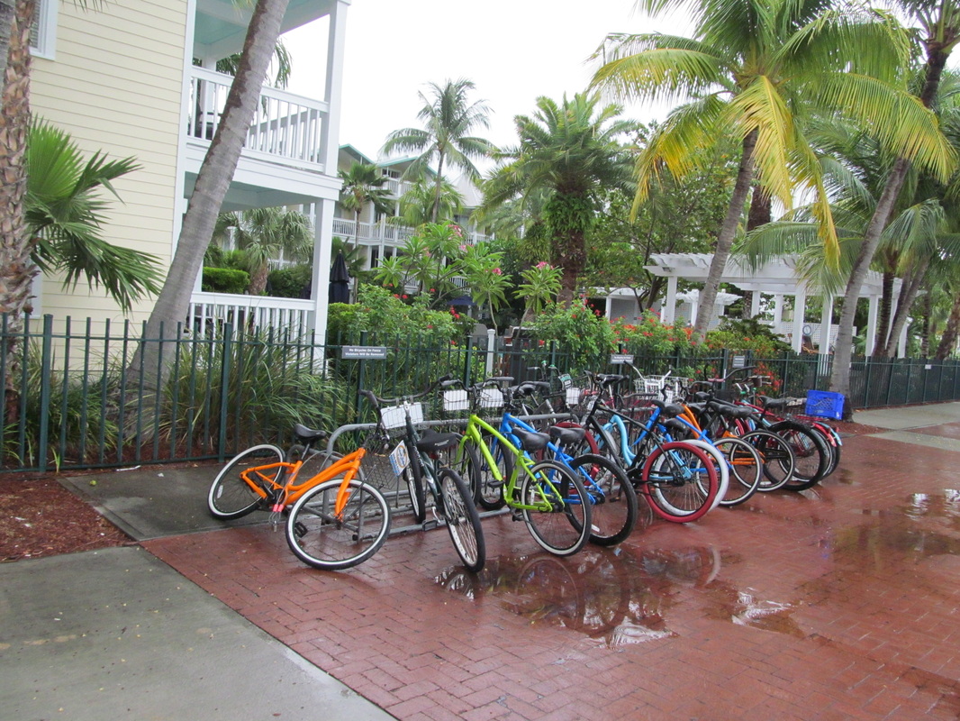 Row of Bikes in Key West 