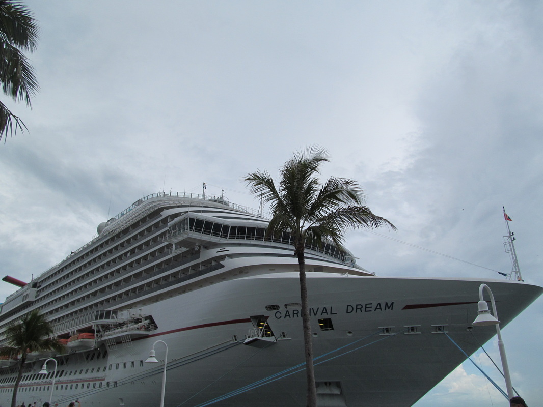 Carnival Dream With Tree in Front