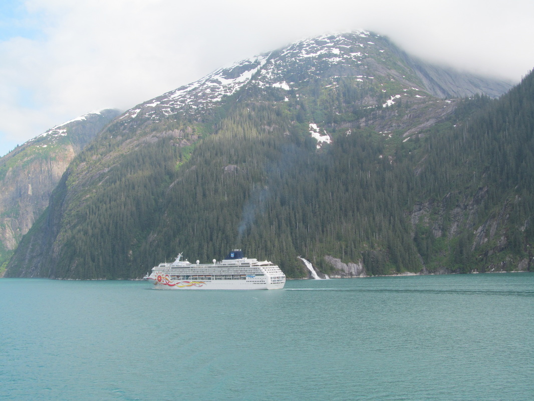 Norwegian Sun passing in Tracy Arm Fjord