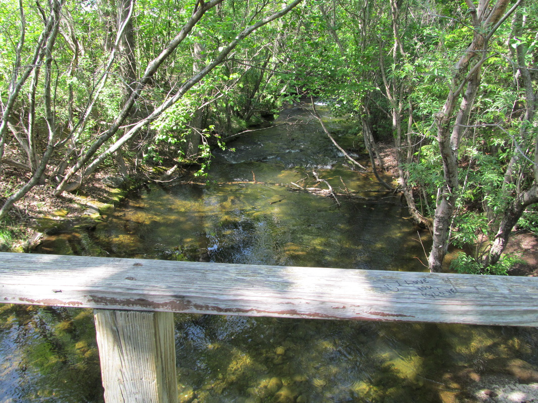 Creek or Stream