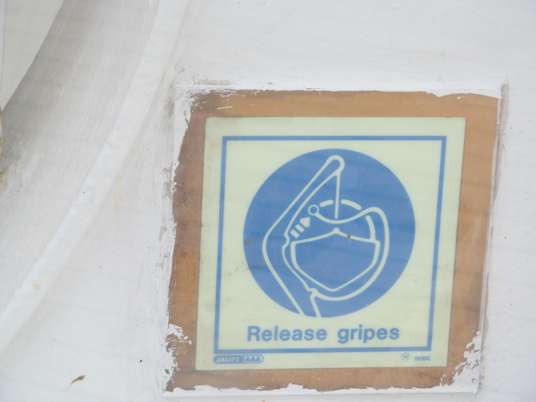 Release Gripes Sign on the Carnival Elation