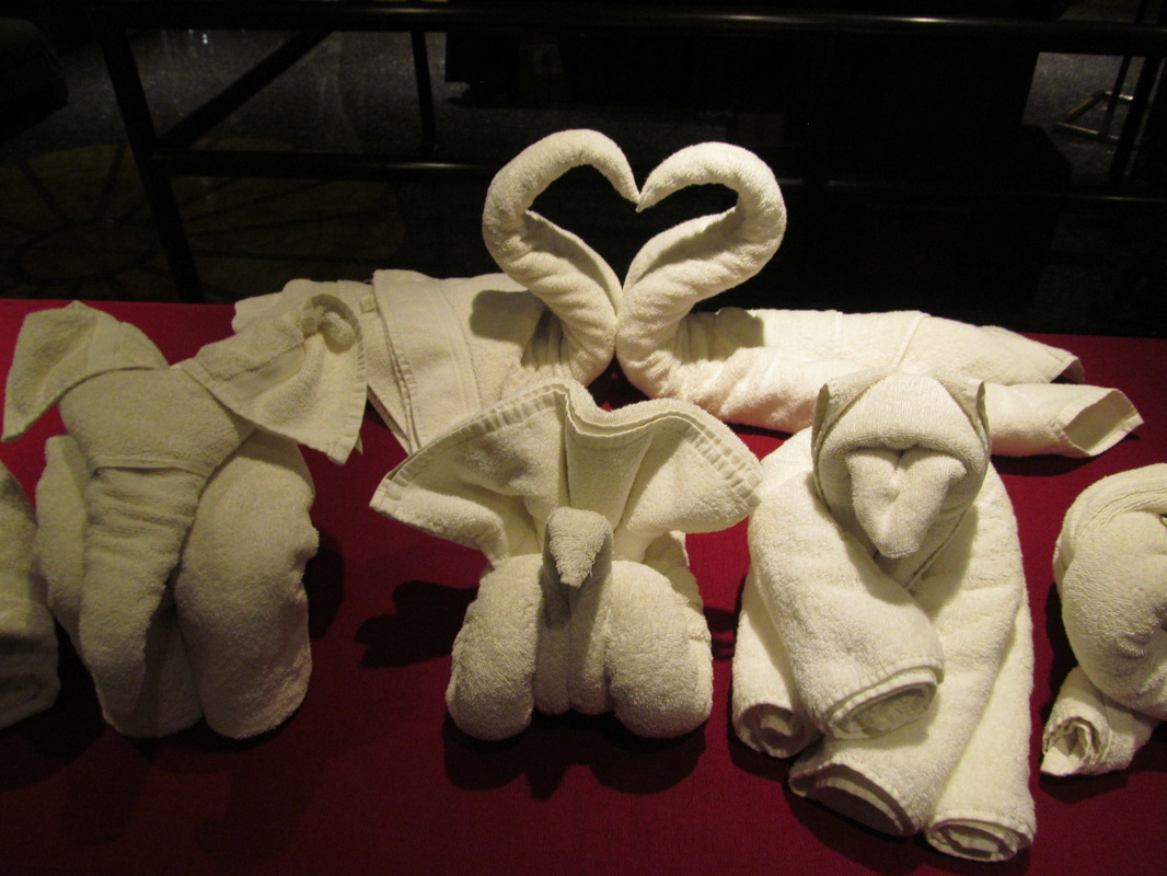 Towel Animals On Display