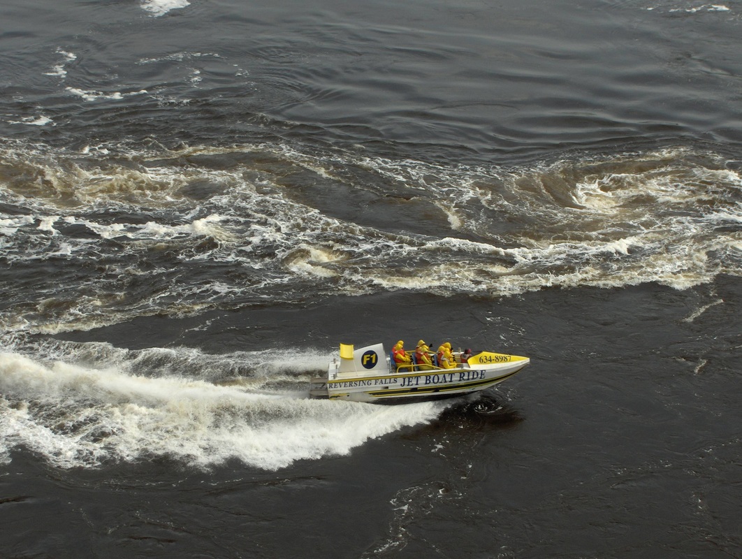 Riding a jet boat through the reversing rapids gives a different perspective