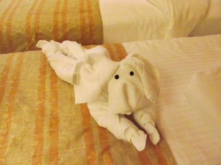 Cruise Ship Towel Animal