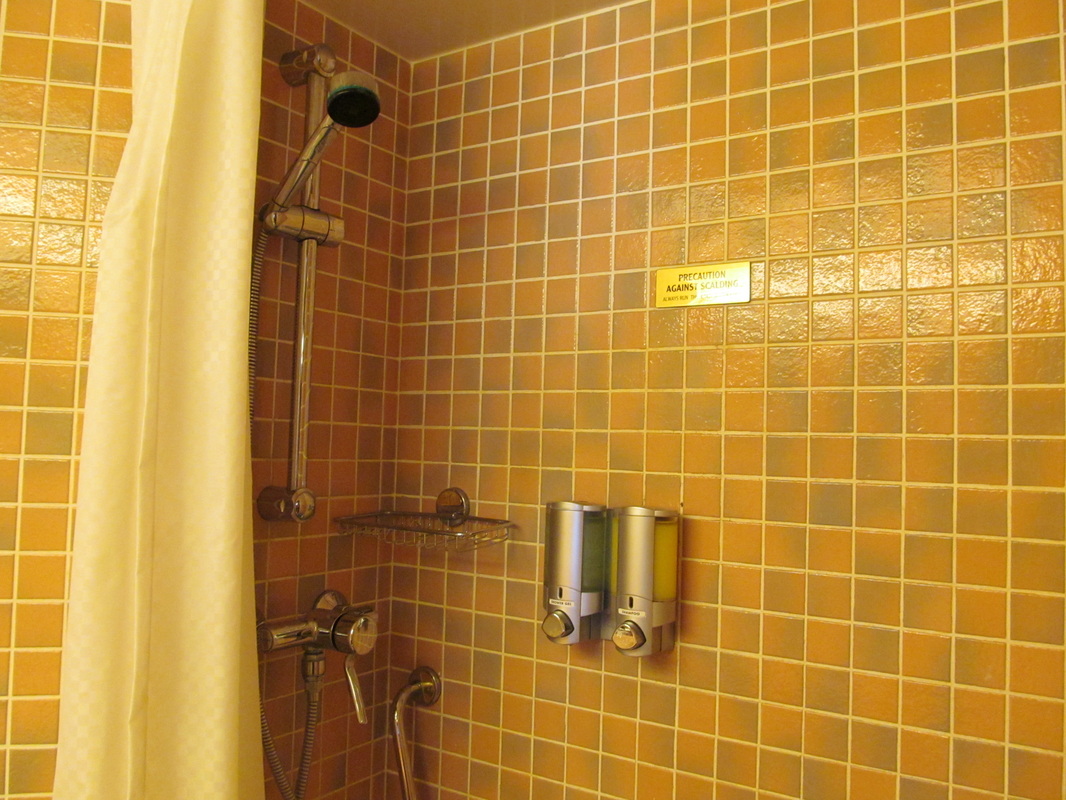 Carnival Triumph Shower in Stateroom Bathroom