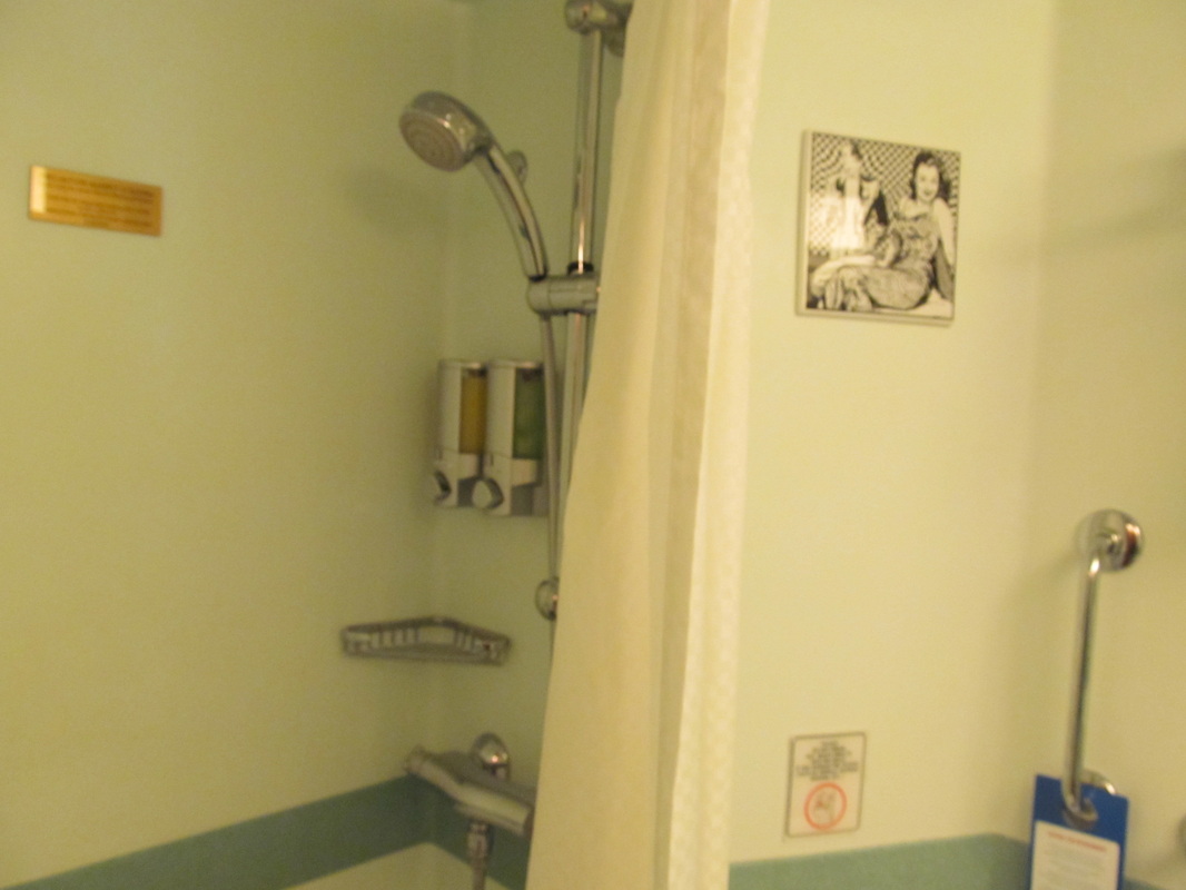 Shower in Carnival Dream Stateroom Bathroom