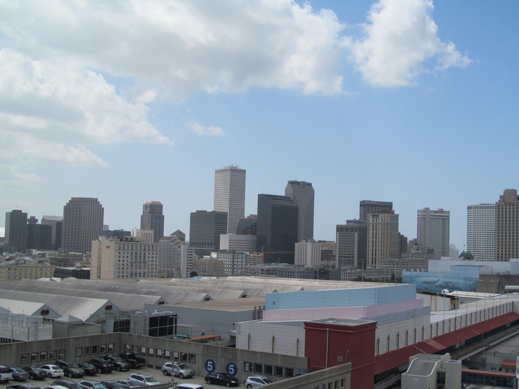 View of New Orleans From The Carnival Triumph
