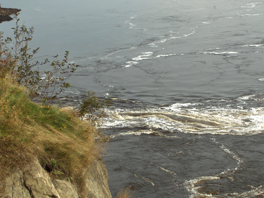 Reversing Rapids seen from Fallsview Park