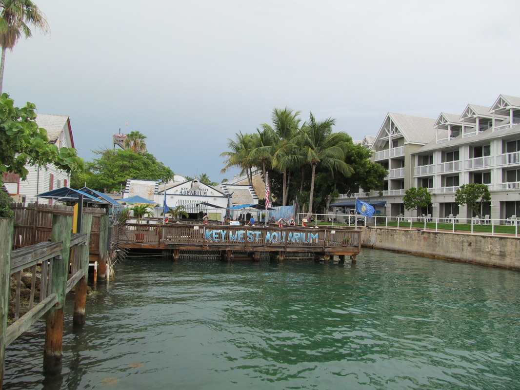 Water in front of the Key West Aquariam
