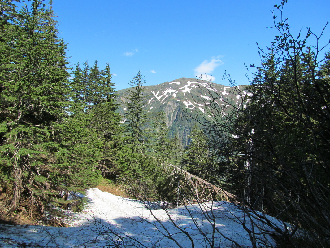Nature Trails - Snow