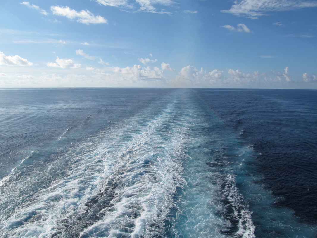 Waves at the back of the Carnival Dream