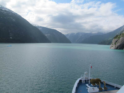 Carnival Miracle in Tracy Arm Fjord