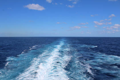 Cruise Ship Waters