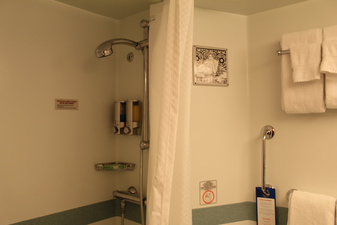 Carnival Freedom Stateroom Shower