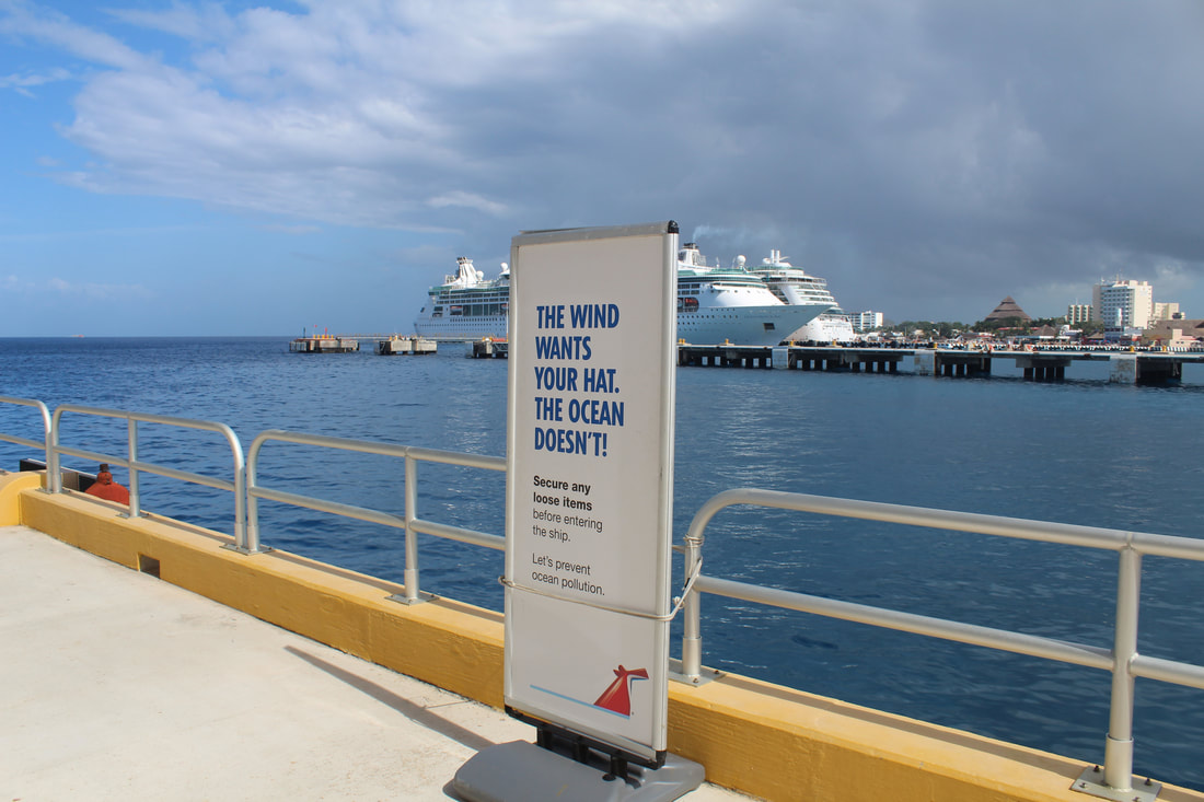 Carnival Cruise Wind Sign
