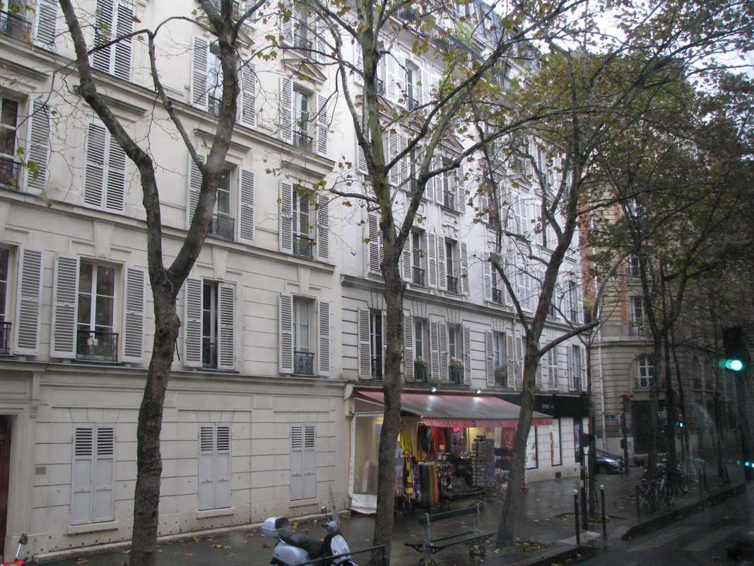 Tree lined streets of Paris