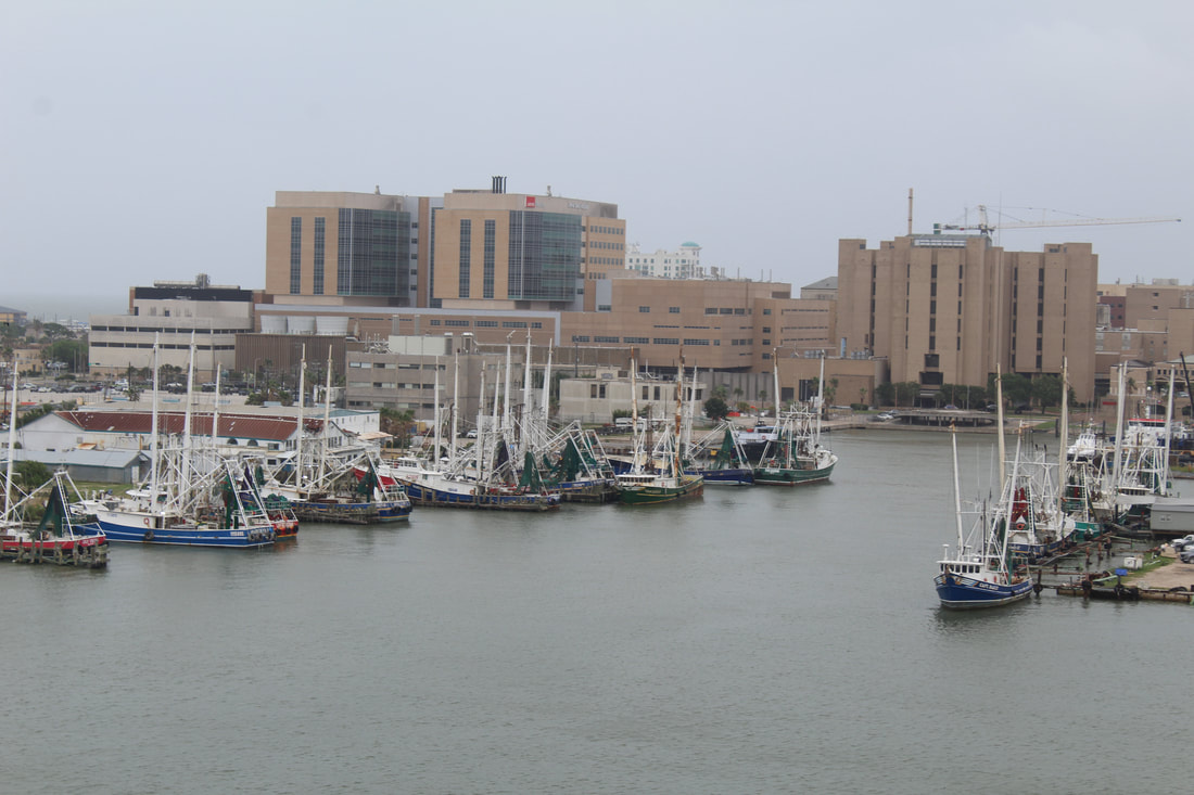 Galveston UTMB View From Cruise Ship