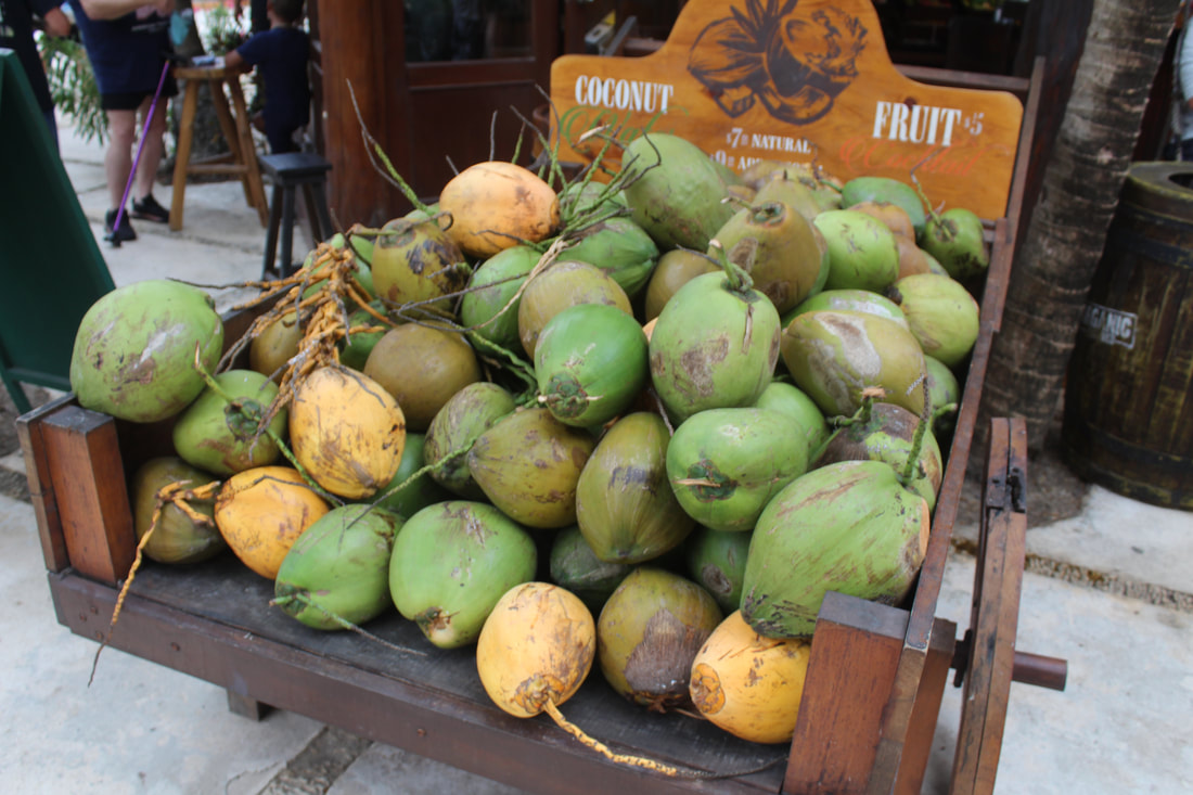 Costa Maya Coconuts