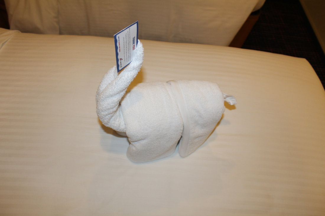 Carnival Breeze Towel Animal