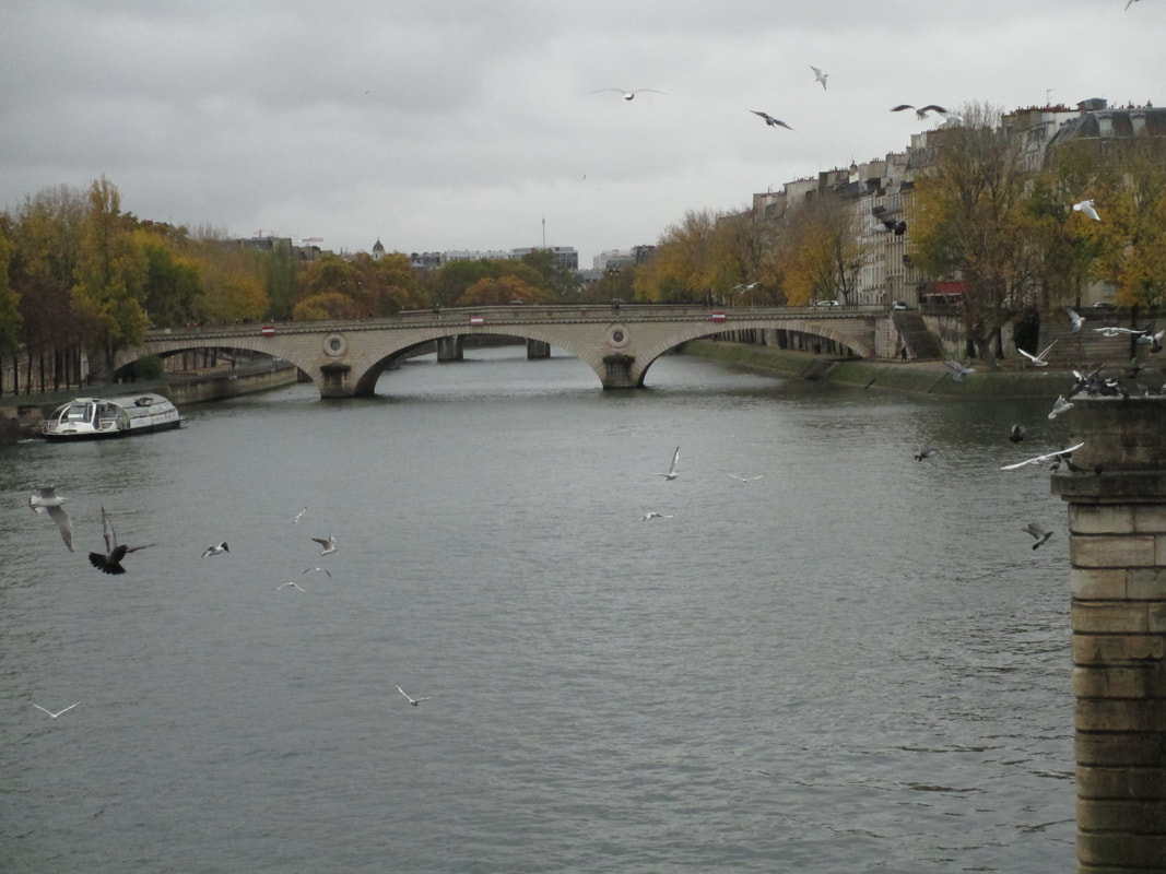 Crossing Seine River on Pont D'arcola Bridge