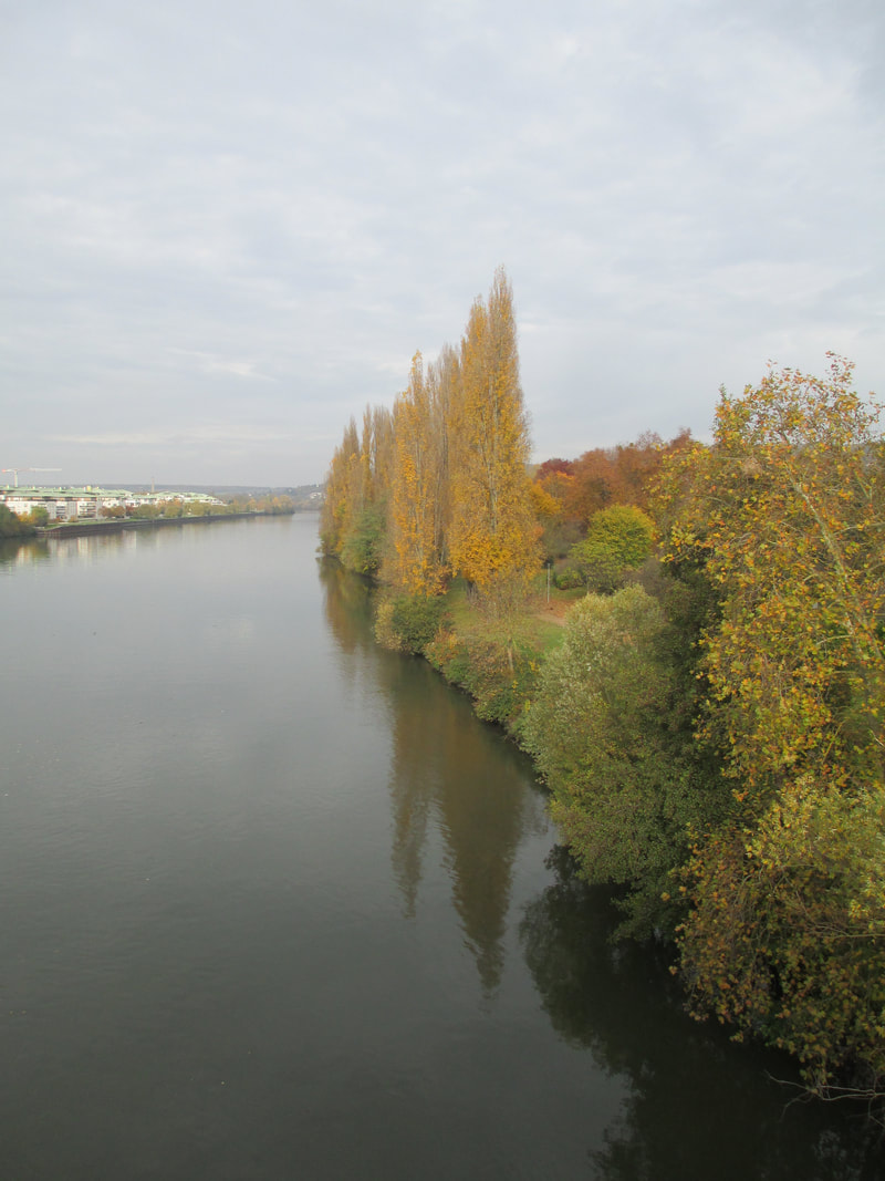 Fall color along Seine River