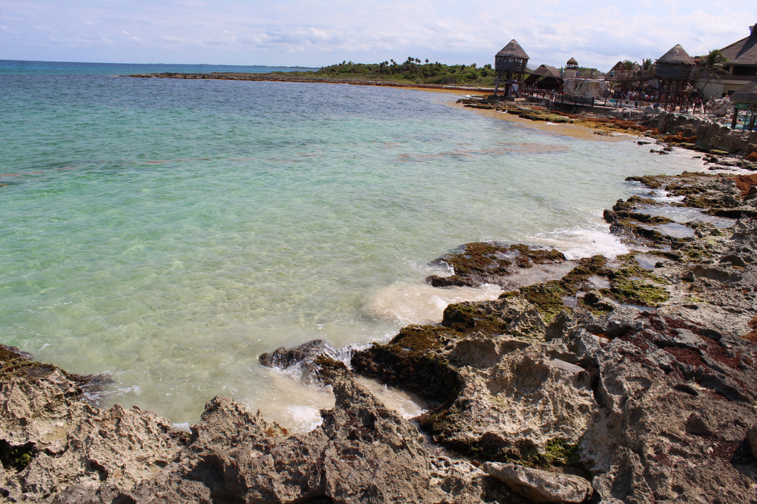 Costa Maya Shoreline
