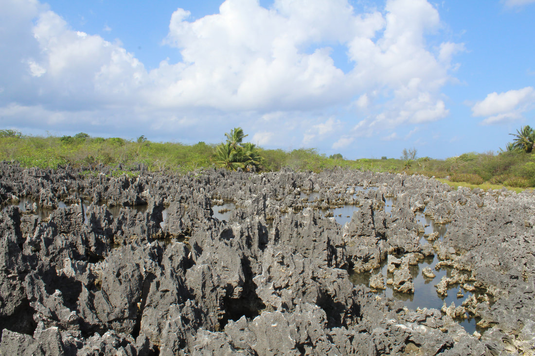 Hell Rocks in Grand Cayman