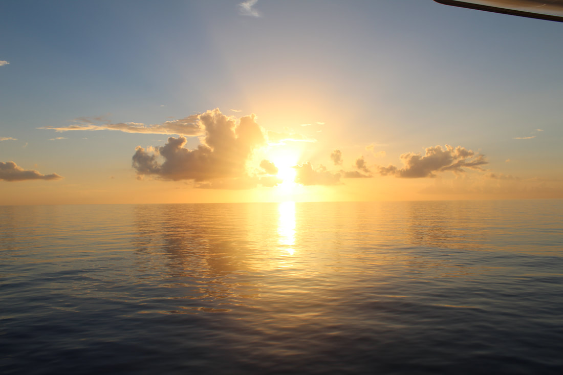View Of The Sunrise From The Carnival Freedom