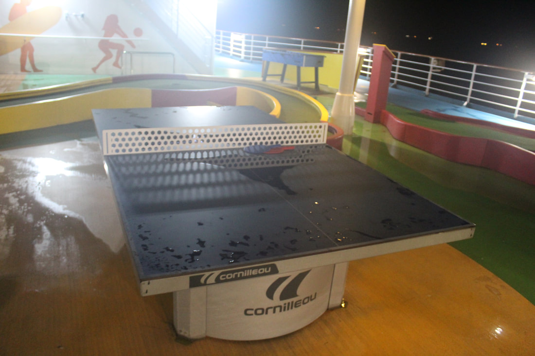 Carnival Breeze Ping Pong Table