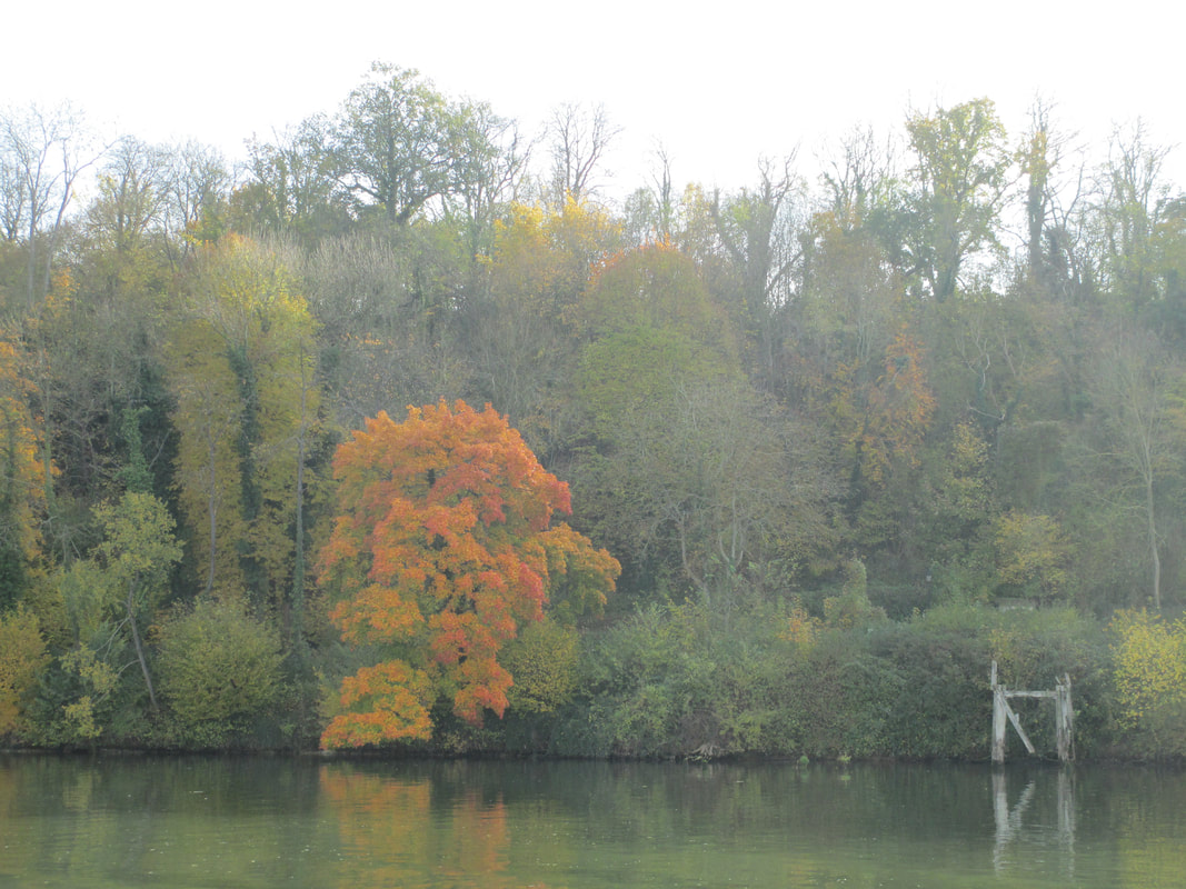 Countryside along the Seine River