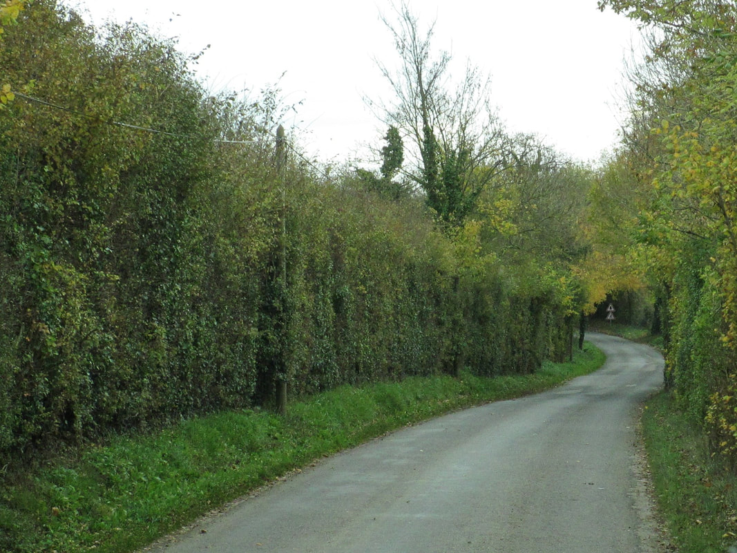 More narrow and twisty roads 
