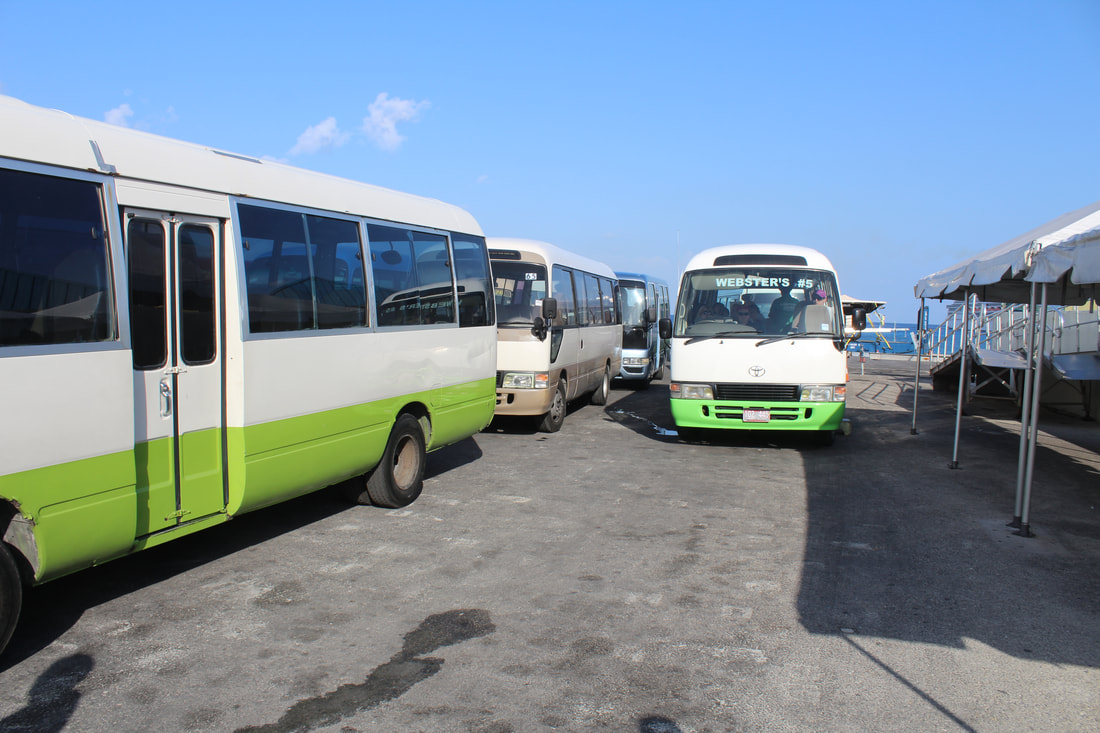 Grand Cayman Shore Excursion Buses